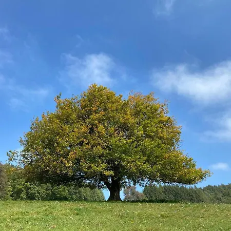 Apartment Rose-ruhige In Wien Nähe Ottensheim