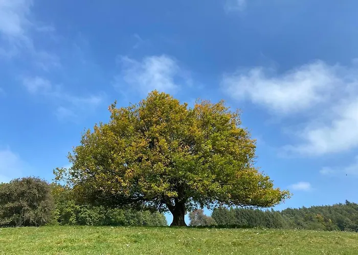 Apartment Rose-ruhige In Wien Nähe Ottensheim
